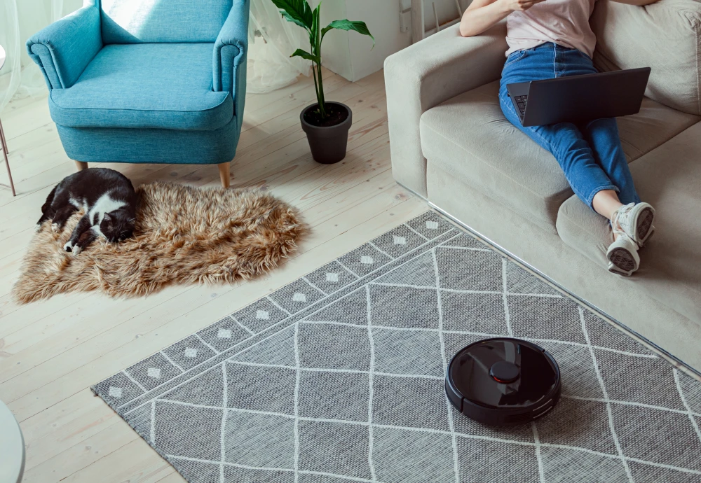 robot vacuum cleaner carpet